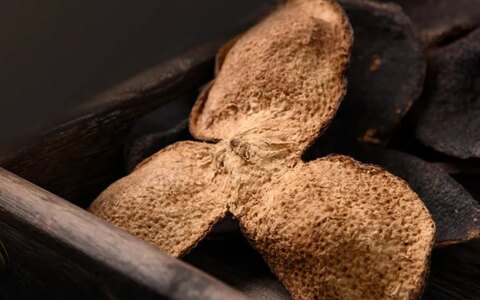 广东人的黄金宝贝陈皮，常吃有5大好处（广东陈皮的功效）