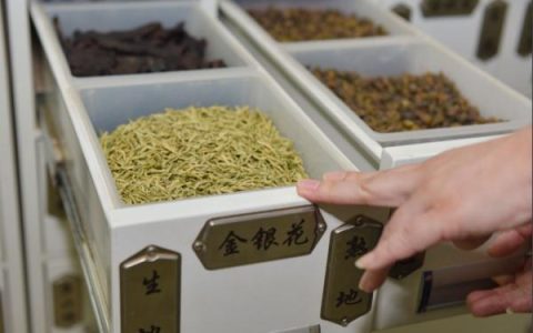 清热解暑、补血活血……养生都有最佳搭档！效果加倍（清热解毒补气养血）