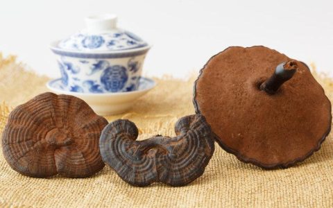 癌症患者能吃灵芝孢子粉吗？被捧上天的2种保健品，其实不抗癌-晚期癌症患者能过性生活吗