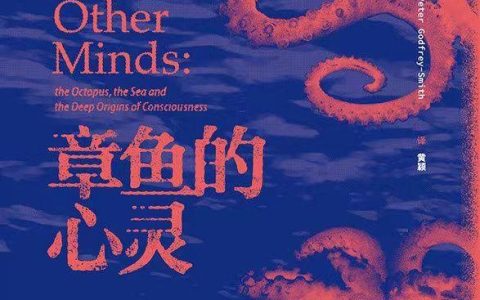 《章鱼的心灵》：当一只章鱼是怎样一种感觉（章鱼的心灵电子书）