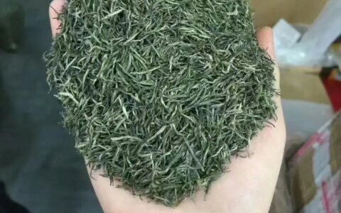 夏天喝什么茶最合适，下面介绍几款比较合适夏天喝的茶叶-女人夏天喝什么茶好处最多