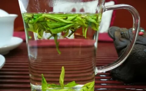 安吉白茶的等级 安吉白茶的特征-安吉白茶如何区分等级