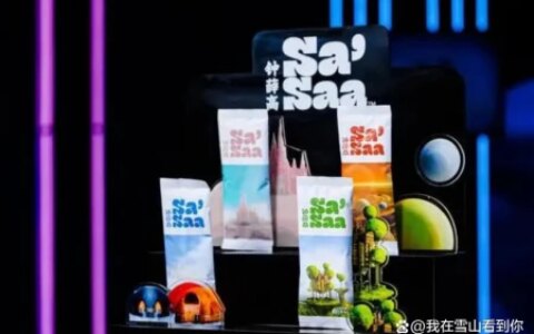 钟薛高推出3.5元雪糕，AI打造的平价能否打破“雪糕刺客”的标签（钟薛高雪糕是哪的）