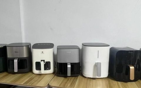 空气炸锅会不会爆炸？防范五大坏处风险（空气炸锅会致）