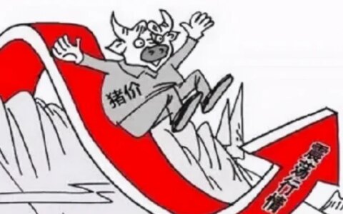 平地惊雷！猪价终于涨了，上涨原因是啥？端午仅是其中之一！（猪价暴涨是哪一年）
