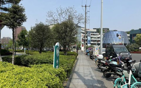 成都升温 街头千足虫“集体出游” 昆虫学家：雨后常见 不要触摸不会咬人-下雨天千足虫
