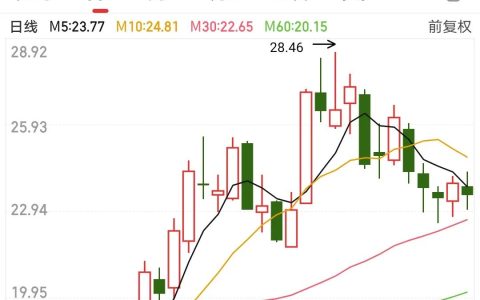 AI大模型“引爆”算力需求，这家本地企业旗下IDC已部署高性能GPU（ai算法模型）