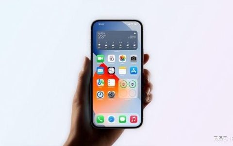 今年因技术问题取消，明年iPhone16Pro将采用固态按键-技术岗位年度总结