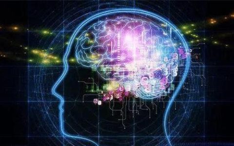 人类真的没天敌! 此动物曾以人类祖先为食, 现今却都爱养它的后代（为什么人类没有天敌也没有泛滥成灾）