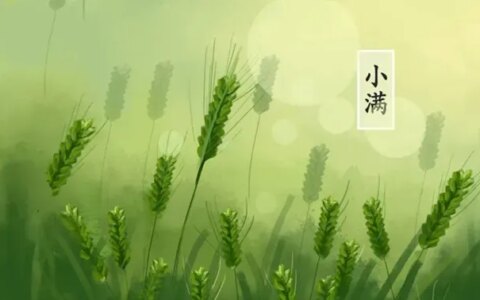 二十四节气——小满的来历和风俗（小满节气的含义是什么?二十四节气小满的来历传说故事）