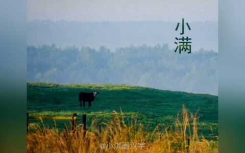 讲给孩子的二十四节气：小满（二十四节气之小满）