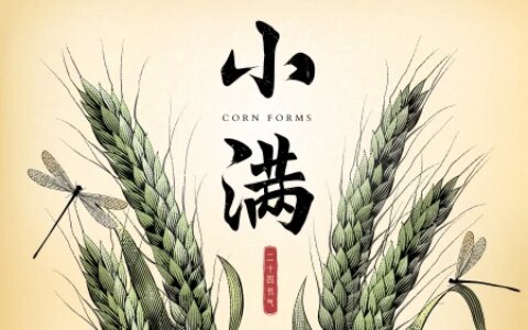 小满节气，天越来越热了，别忘吃这“健脑菜”，清热除湿补营养（小满节气喝什么汤好）