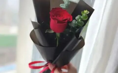 情人节送花，别只想到红玫瑰！（情人节送一朵玫瑰花合适吗?）