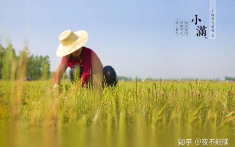 什么是小满？-小满贷款的额度怎么提升