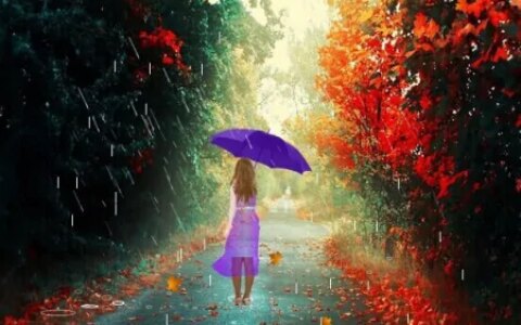 诗集《在农历—二十四节气歌》之《雨水》、《雨中》（组诗）（24节气雨水诗配画）
