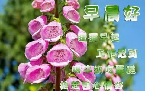 微信早安祝福问候语2019最新版 早上好祝福图片最新-微信早安问候语配图片怎么制作视频