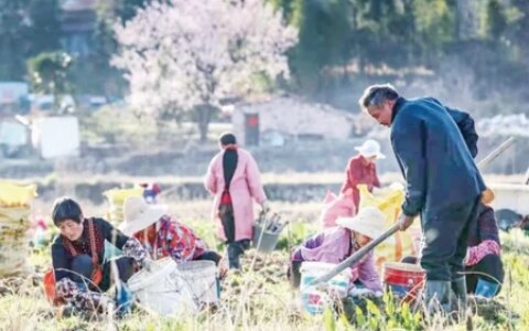 牛年春来早 奋进正当时（牛年春来早图）