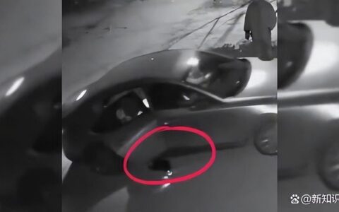 女子忘关车门4岁娃跑下车遭碾压，孩子爆哭声2大人才发现异常（孩子忘在车里闷死的说说）