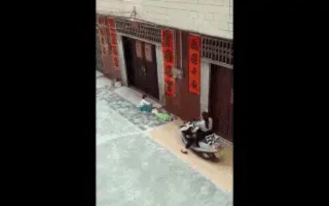 震惊：女子故意驾车碾压女童，天理难容（女子被撞到又故意碾压）