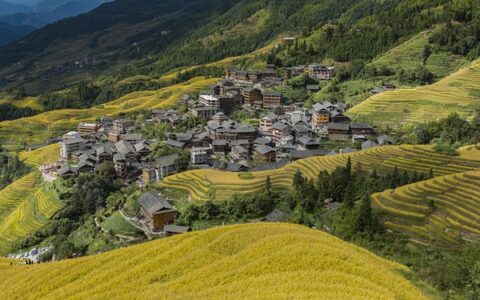 7名村花惊艳变装为家乡代言 网友：为她们的勇敢点赞-村花是哪个女明星