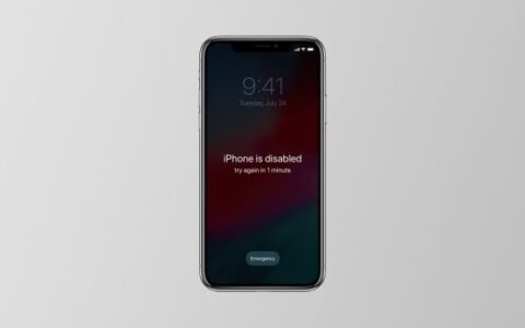 忘记苹果iPhone/iPad锁屏密码怎么办？外媒支招-忘记苹果ipad锁屏密码10秒解决