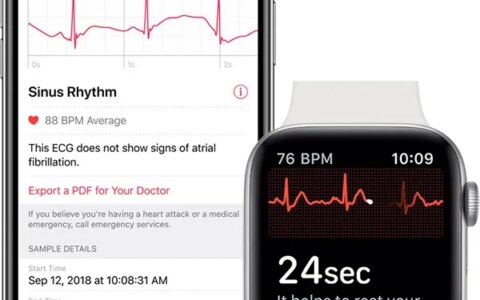 iOS 12.4、macOS 10.14.6、watchOS 5.6 正式版发布-iwatchID查询