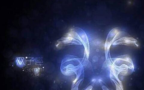 原创
空虚之海，双子座（空虚之海）