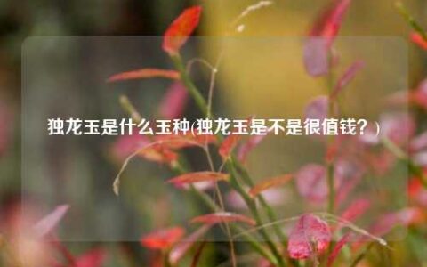 独龙玉是什么玉种（独龙玉是不是很值钱？）