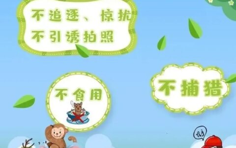 世界环境日-世界环境日海报图片