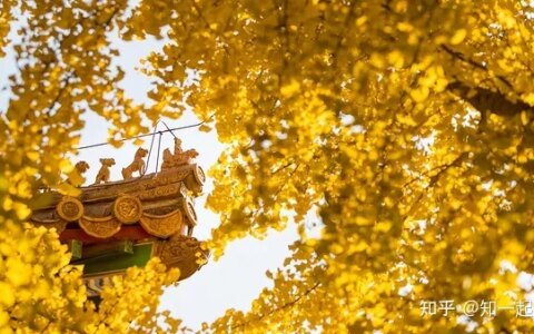 带芷字取名起名字：芷字女孩取名的含义-带芷字取名起名字:芷字女孩取名的含义及寓意