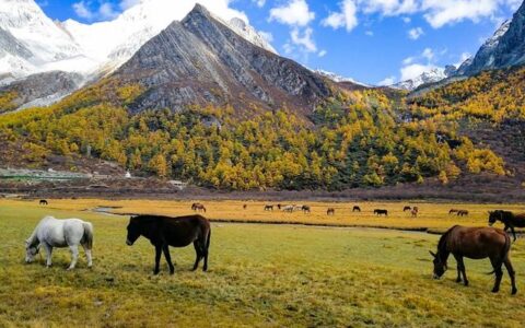 人间净土，稻城亚丁旅游攻略-稻城亚丁经典旅游路线