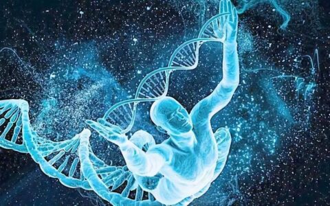 生物进化为啥没有选择“永生”，只能繁衍，未来能够实现永生吗？-永生后续叫什么