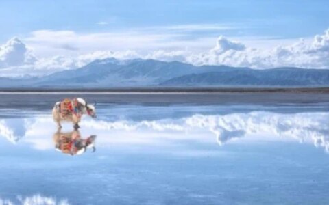 第一次去青海旅游8天大概要多少钱，行程怎么安排，看完就清楚了-去青海六天旅游要花多少钱