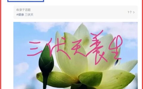 三伏天 五大忌-三伏天三忌