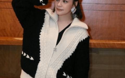 港媒曝阿娇新恋情！系“女版陈冠希”皇甫圣华，为周扬青多年好友-阿娇新歌