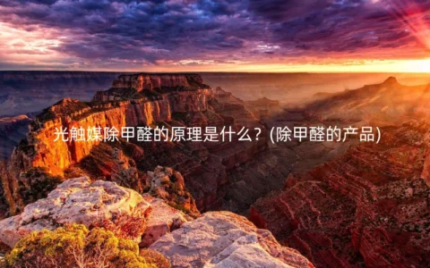 光触媒除甲醛的原理是什么？(除甲醛的产品)