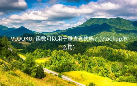 VLOOKUP函数可以用于垂直查找吗？(vlookup怎么用)