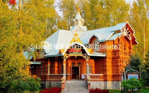 Silabs在哪里设有分公司？(silabs)