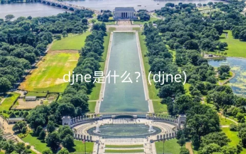 djne是什么？(djne)
