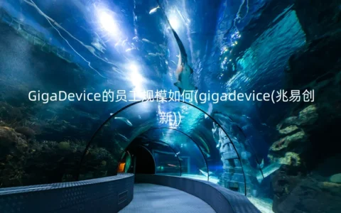 GigaDevice的员工规模如何(gigadevice(兆易创新))
