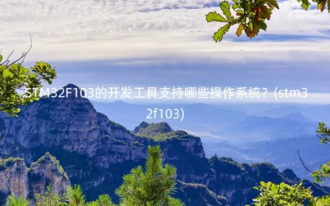 STM32F103的开发工具支持哪些操作系统？(stm32f103)
