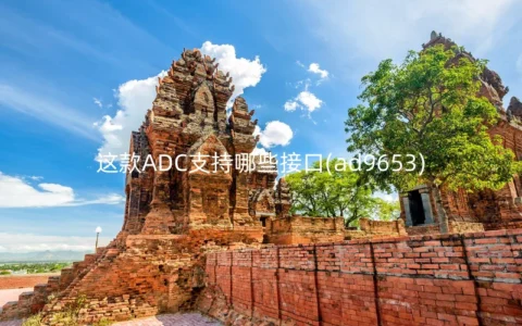这款ADC支持哪些接口(ad9653)