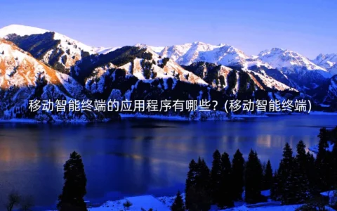 移动智能终端的应用程序有哪些？(移动智能终端)