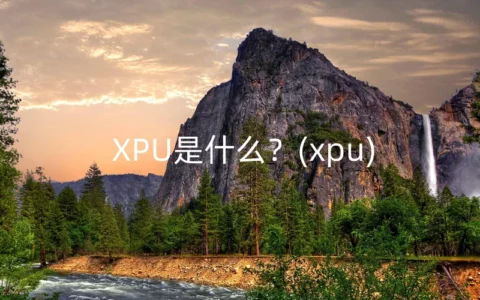 XPU是什么？(xpu)