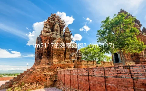 lm5117的效率如何？(lm5117)