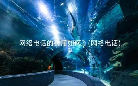 网络电话的费用如何？(网络电话)