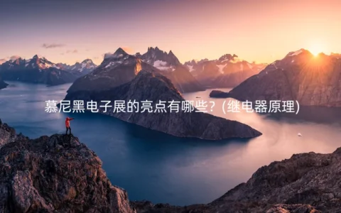 慕尼黑电子展的亮点有哪些？(继电器原理)