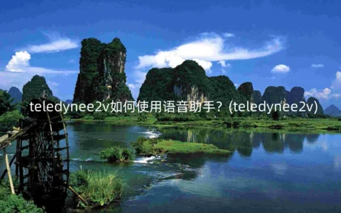 teledynee2v如何使用语音助手？(teledynee2v)