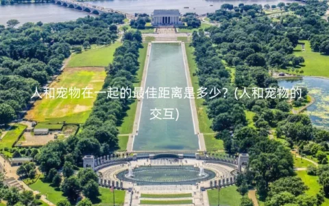 人和宠物在一起的最佳距离是多少？(人和宠物的交互)