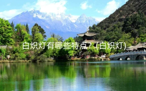 白炽灯有哪些特点？(白炽灯)
